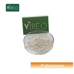 Pabrik Bubuk Pullulanase Penjualan Langsung Enzim Pullulanase Kelas Makanan untuk Industri Kue dan Pembuatan Bir - Product Image 1