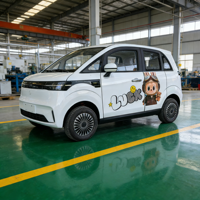 Mini-bus électrique fermé 4 places pour bébé, 4 roues, mobilité quotidienne adulte, batterie Li 200Ah, autonomie 300km, vitesse 55km/h