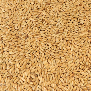 הקנריים זרע לציפור להאכיל - Product Image 2