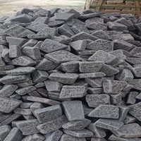 Pierre de pavé en granit populaire et bon marché, personnalisation 20*20, pavés de jardin, sol extérieur, mur