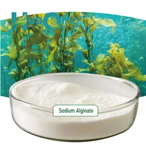 Best Price Stabilizer Food Additive Sodium Alginate Powder Food Grade