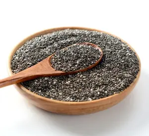 Organic Chia Seed Extract Chia Seed Protein Powder 60% Customized