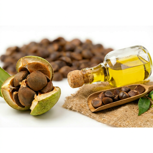 Semillas de Camelia Secas Naturales con Alto Contenido de Aceite para Aceite Comestible y Procesamiento Cosmético, Proveedor Mayorista - Ms. Grace - Product Image 1