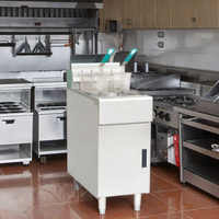 Friteuse professionnelle à gaz GPL en acier inoxydable 26L à cuve unique pour restaurant - Vente en gros