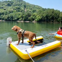 Jeu aquatique pour animaux de compagnie, tapis de natation gonflable pour chien, rampe flottante, échelle, ponton pour piscine