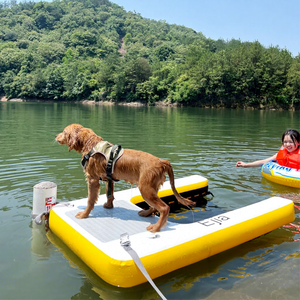 Juguete Acuático <span class=keywords><strong>para</strong></span> Mascotas, Tapete Inflable <span class=keywords><strong>para</strong></span> Perros, Rampa Flotante, Escalera, Plataforma <span class=keywords><strong>para</strong></span> Piscina - Product Image 1