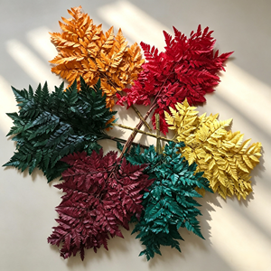Foglie di Papparella Arachniodes Essiccate per Decorazioni di Bouquet Nuziali, Fiori Secchi - Product Image 6