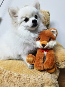 Nuevo Regalo de San Valentín, Peluches de Diseño Personalizado, Animales de Peluche, Lindos y Realistas, Peluche de Zorro Rojo Ártico - Product Image 2