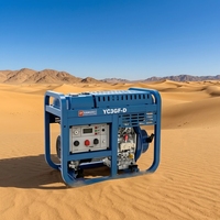 Générateur diesel portable Yuchai 2,8 kW 5 kW 7,5 kW 10 kW pour usage domestique