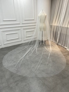 All'ingrosso <span class=keywords><strong>abito</strong></span> <span class=keywords><strong>da</strong></span> <span class=keywords><strong>sposa</strong></span> in Tulle color avorio scintillante veli <span class=keywords><strong>da</strong></span> <span class=keywords><strong>sposa</strong></span> lungo <span class=keywords><strong>velo</strong></span> <span class=keywords><strong>da</strong></span> <span class=keywords><strong>sposa</strong></span> 2025 - Product Image 2