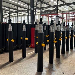 Wholesale Hydraulic Oil Cylinder for Electric <strong>Garbage</strong> <strong>Truck</strong>/campus <strong>Mini</strong> <strong>Trucks</strong> Dumper - Product Image 3