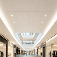 Panneau de plafond suspendu moderne en aluminium acoustique et ignifuge pour hôtel, 1220*2440 mm