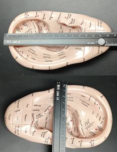 แบบจำลองการฝังเข็มหู 17 ซม. สำหรับการฝึกการนวดกดจุดสะท้อน แบบจำลองหูภาษาอั<span class=keywords><strong>ง</strong></span>กฤษและญี่ปุ่น พร้อมสติกเกอร์ - Product Image 4