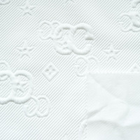Venta Directa de Fábrica, Tela Jacquard de Punto con Letras CG, Jacquard de Seda en Trama, Elástica, Capa de Aire, Anti-Pilling, Material para Ropa al por Mayor
