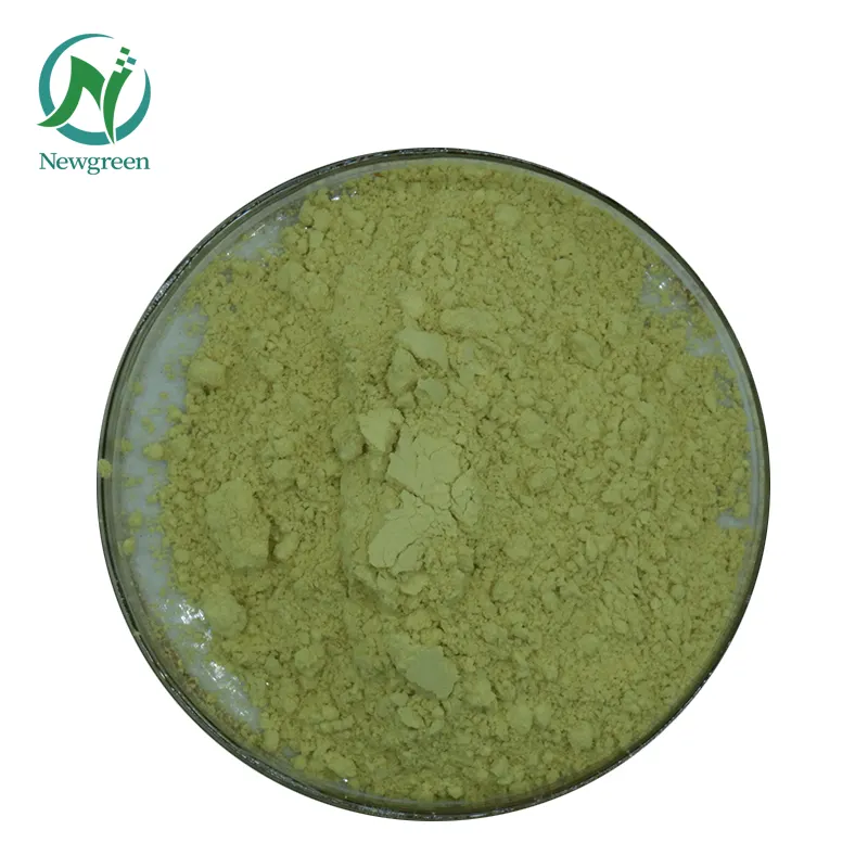 Newgreen Supply Pure Bulk Water Soluble Organic Celery Powder