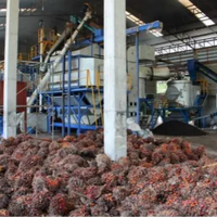 Palmolieverwerkingsmachine, palmolie-extractiemachine, palmolie-expeller productielijn