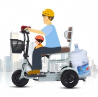 Best-seller Tricycle électrique pliable léger Scooter électrique pour adultes