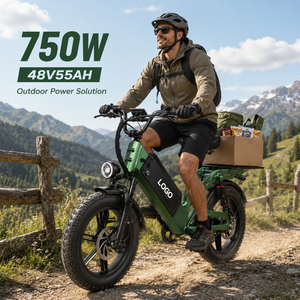 D55 750W 48V55Ah <b>Electric</b> Bike Aluminum Frame Dual Suspension E-Bike with Hydraulic Disc Brake E-City Bike Road Bike - Product Image 1
