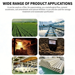 Industriële Calciumoxide 95% met beste kwaliteit 100-600 mesh kalkstrook - Product Image 4