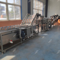 Middelgrote ultrasone ozonwasmachine met paddenstoelvormige belletjes voor het wassen van groenten en fruit