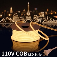Tiras de Luces LED de Cobre, ROHS, 110V, IP68, Impermeables, COB, Flexibles, con Enchufe, Iluminación de Contorno para Exteriores y Edificios