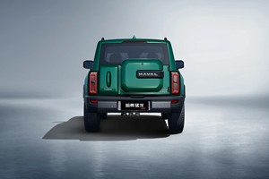 รถยนต์ไฟฟ้าไฮบริด4มอเตอร์สำหรับ Haval Raptor Deluxe Edition รถ SUV 2024 - Product Image 6