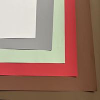 Papier d'emballage de qualité supérieure, enduit, écologique, biodégradable, double face, spécial, mélangé de pâtes chimiques et mécaniques, pour l'emballage