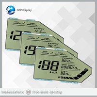 Herstelleranpassbares Blendfreies 7-Segment-Monochrom-LCD-Display GW031 Instrumententafel für Motorrad PARICOL VG-7(BS6)