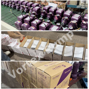 ปั๊มน้ําอัตโนมัติโดยตรงจากโรงงาน AC 220v ปั๊มหมอกแบบรองพื้นตัวเองขนาดเล็ก - Product Image 5