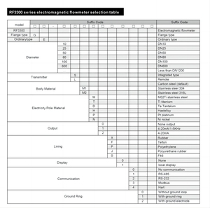 Medidores de Flujo Inteligentes RKS de Alta Precisión, Tipo Remoto Dividido DN1200, Pantalla LCD, Medidor de Flujo OEM para Líquidos/Agua/Aceite/Gas - Product Image 3
