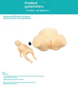 Yilian продвинутая модель обучения дистоции, симулятор акушерской помощи из ПВХ для трудных родов, демонстрационное обучение акушерству - Product Image 3