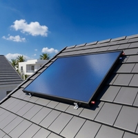 Collecteur solaire à plaque plate en cuivre durable 2,0 m, revêtement noir, soudure ultrasonique, pour eau pressurisée, extérieur, garage