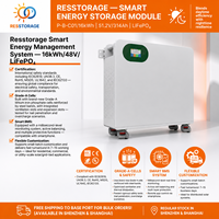 Batterie au lithium 16 kWh 51,2 V avec BMS intelligent CAN RS485 pour système de stockage d'énergie solaire et utilisation en secours