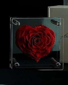 Nuove idee di prodotto 2024 per sempre flure in acrilico scatola fiorista forniture Fiori Stabilizzati rosso vero naturale conservato rose Fiori - Product Image 6