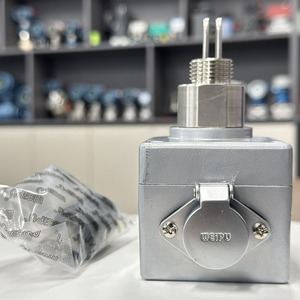 สวิตช์วัดการไหลแบบเสียบร้อน Adv Tech Intrinsically Safe รุ่น RFS-D-010EX พร้อมการรับประกัน 1 ปี - Product Image 5