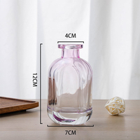 Vente en gros 150ml Bâtons de roseau en rotin Diffuseur de parfum de maison Diffuseur de roseau givré vide Bouteille en verre avec couvercle