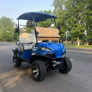 WELIFTRICH 5-6 plazas carrito de golf eléctrico nuevo estilo 60V 100ah batería de litio 3.5kw 5kw Motor de acero certificado CE Curtis - Product Image 5