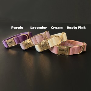 Custom And Leash Set With <b>Bowtie</b> Personalized Engraved Collar Purple Dog Collar - Product Image 5