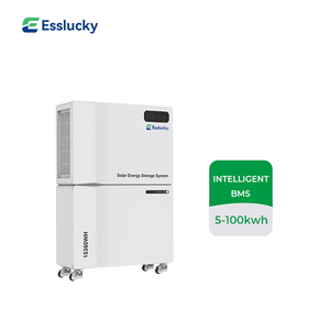 Batería de Almacenamiento de Energía Solar de 51.2V, Ligera, Resistente al Polvo, 100Ah, Montada en Pared, Certificación CE, Más de 8000 Ciclos - Product Image 6