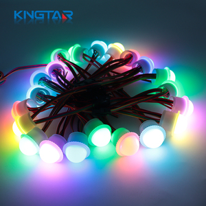 <span class=keywords><strong>Cameleon</strong></span> IP66 nhựa <span class=keywords><strong>LED</strong></span> Pixel Lights cho chủ đề & công viên giải trí bền đèn Vật liệu cơ thể - Product Image 6