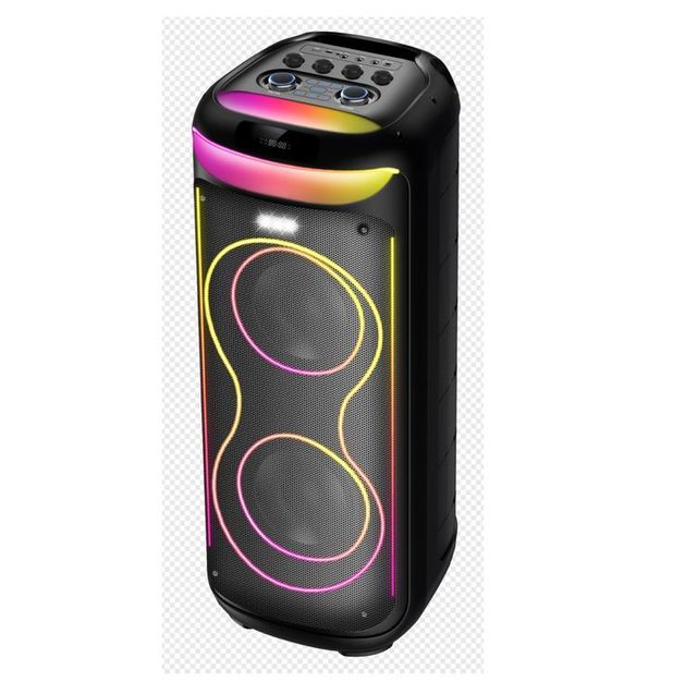 Portable Karaoke Speaker 100W RGB LED 10-Inch Wireless for for FM Microphone IPX4 Waterproof Built-in Mic Remote Boombox