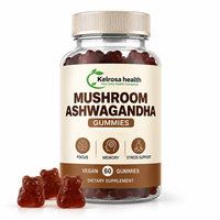 Complément alimentaire OEM pour la concentration cérébrale, Lion's Mane, Reishi, champignons pour la santé quotidienne, gommes à mâcher à l'ashwagandha