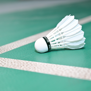 Volant de badminton personnalisé avec logo, en plumes d'oie de qualité supérieure, pour les matchs de badminton professionnels - Product Image 2