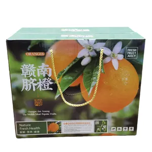 Huazhao 제조 업체 사용자 정의 로고 딱딱한 골판지 강한 접는 신선한 과일 야채 포장 골판지 상자 배송