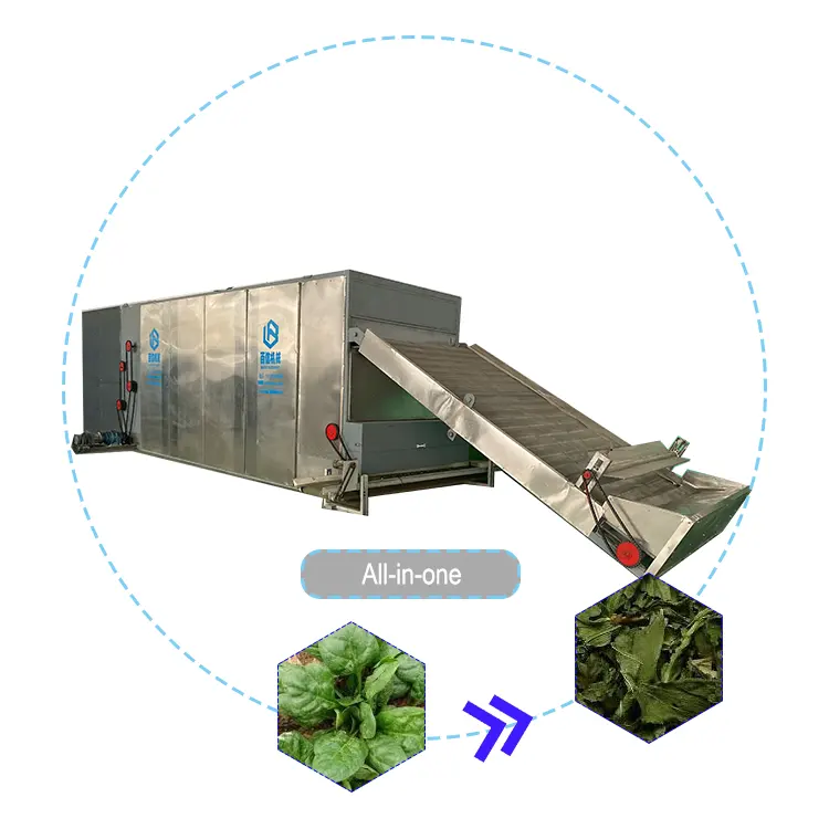 Essiccatore a nastro usato essiccatore per erbe essiccatore industriale per spinaci