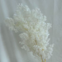 Vente d'usine : Fougères d'asperges éternelles faites à la main pour la décoration de la maison, de mariages et de la Saint-Valentin – Fougère stabilisée à fleurs éternelles