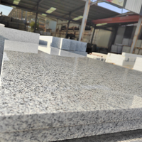 Escaliers en granit gris Hotselling G603 pour projet de matériaux de construction
