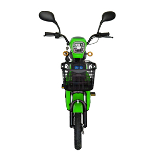 Motocicleta Eléctrica Ligera de 350W con Asistencia al Pedaleo, Batería Extraíble de 48V15Ah, Neumático de Vacío de 16*2.5, Dos Asientos con Cesta Delantera - Product Image 3