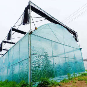 Agriculture Hydroponic <strong>Tunnel</strong> 30 X 100 Greenhouse - Product Image 5