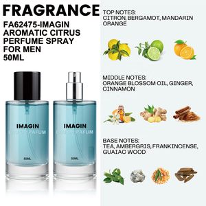 Vente chaude Parfum en vaporisateur personnalisé avec logo Eau <span class=keywords><strong>de</strong></span> parfum Bergamote Thé au gingembre Ambre boisé Parfum agréable 50 ml Parfum pour homme en vaporisateur - Product Image 4